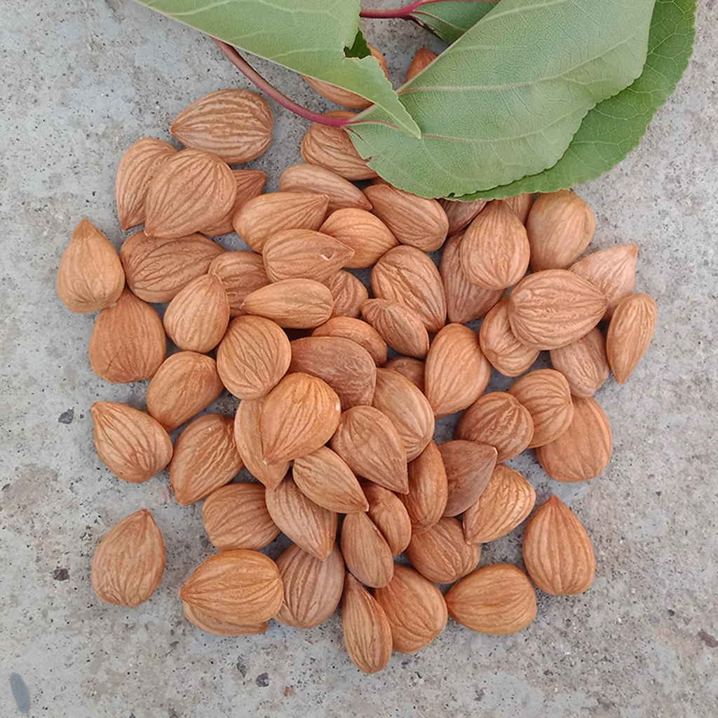 Dried Almond 南杏仁