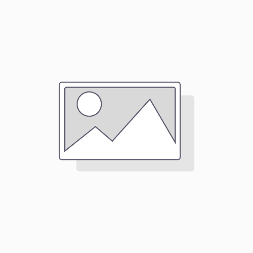 GWY Chicken Powder 25g 广味源盐锔鸡粉
