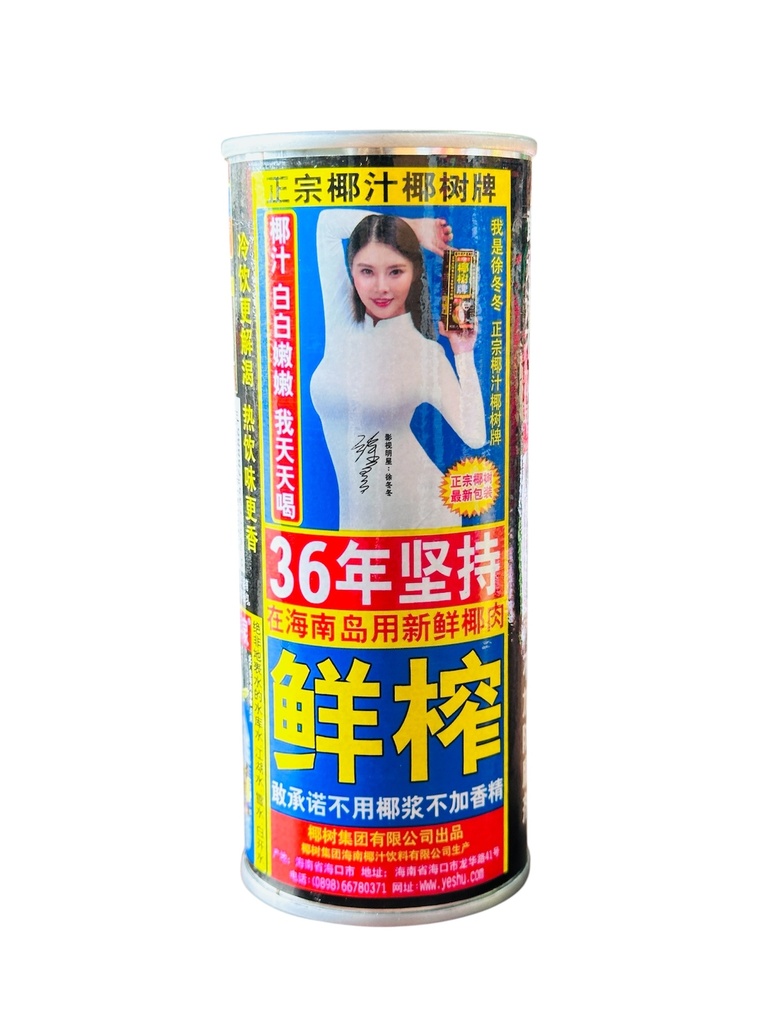 YS Coconut Drink 245ml 椰树牌椰子汁