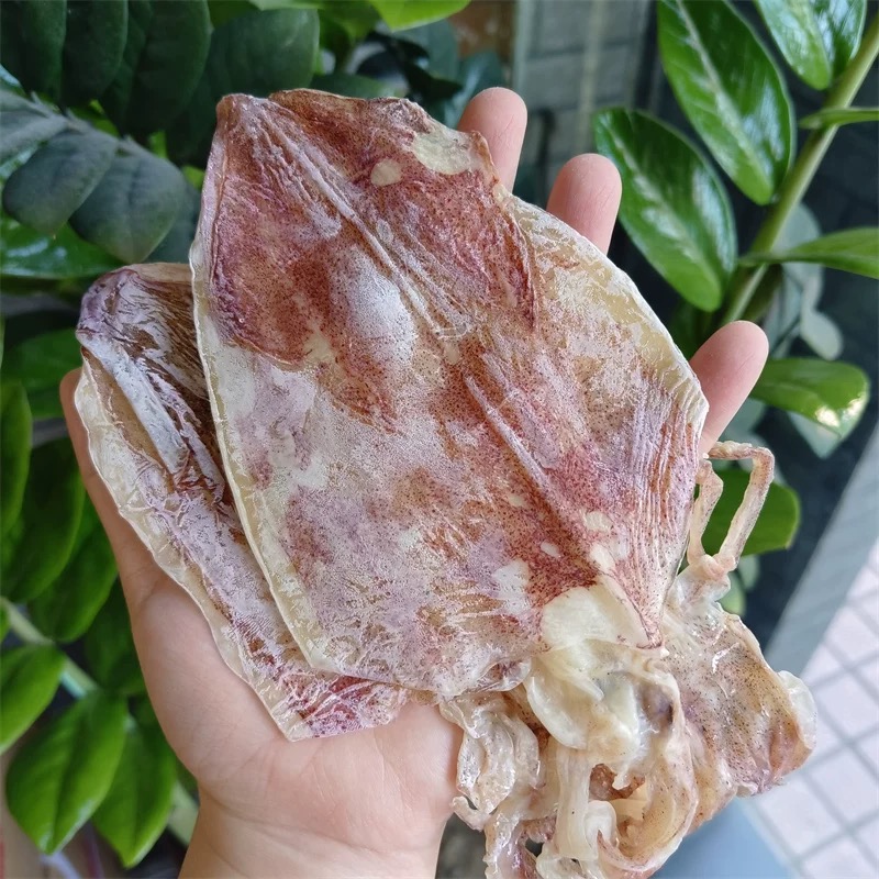 Dried Octopus大章鱼（干章鱼）