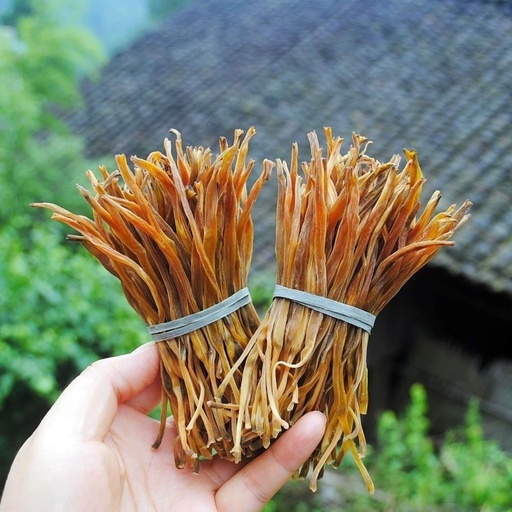 [SZJZC] Golden Lily Flower金针菜/黄花菜